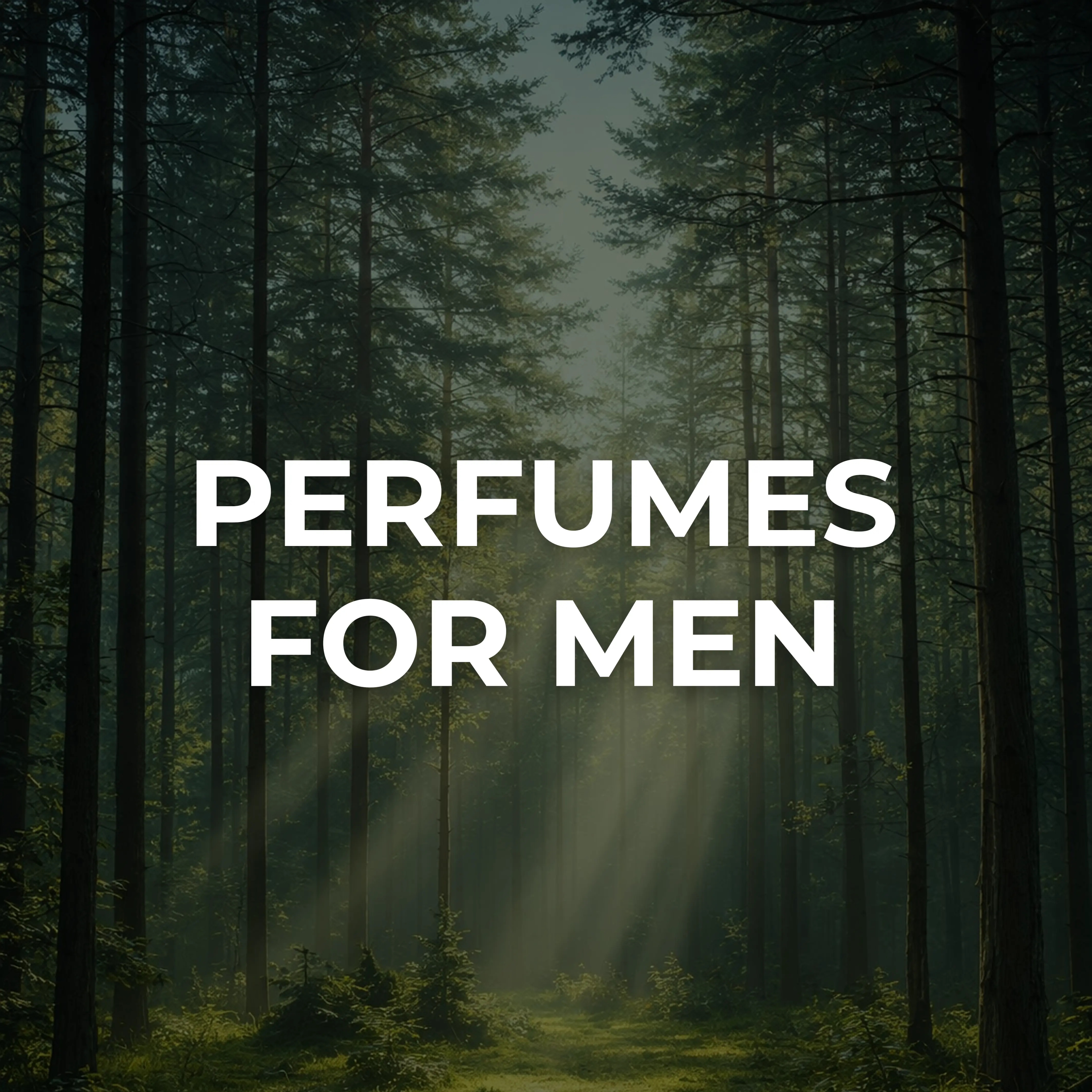 Men's Fragrances