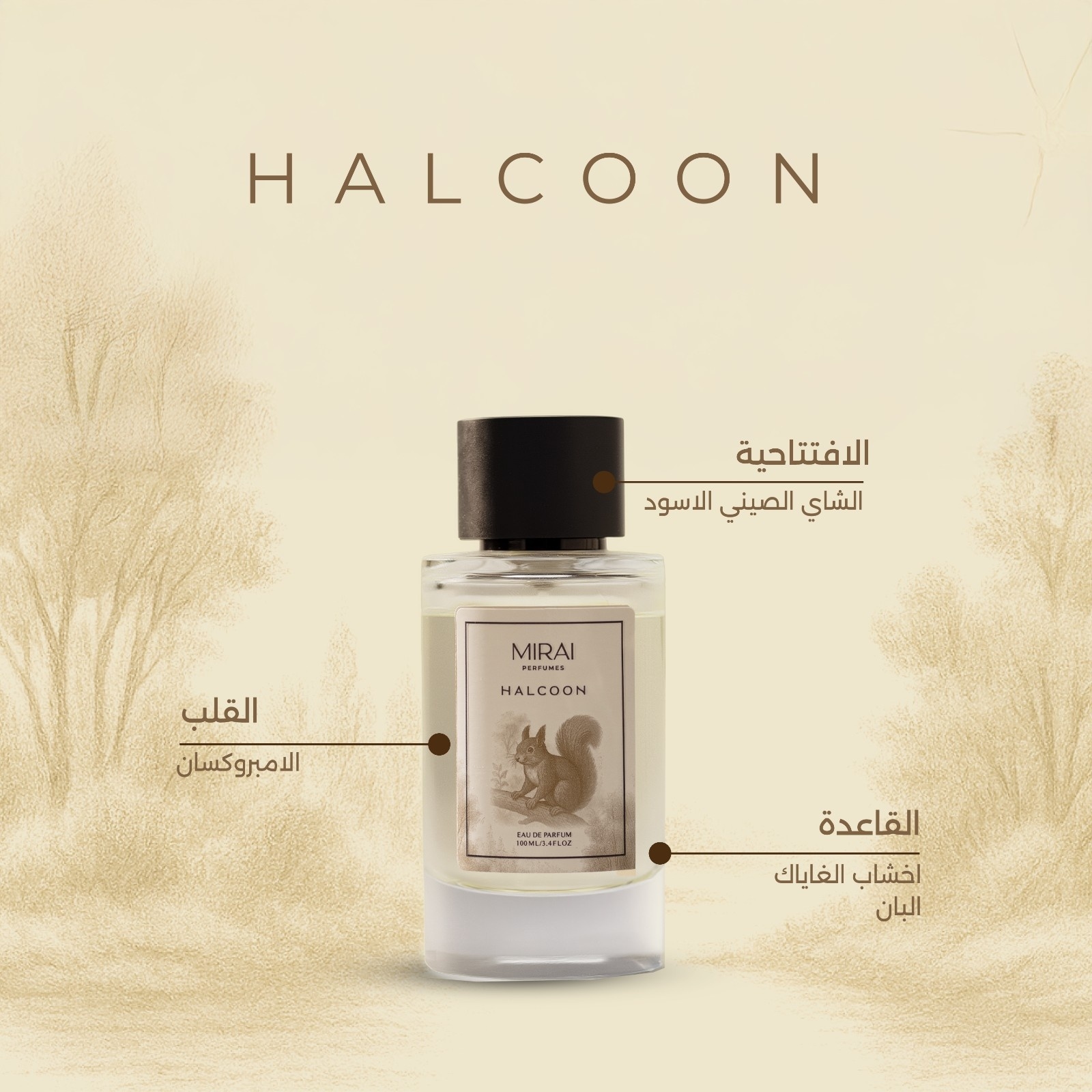 HALCOON