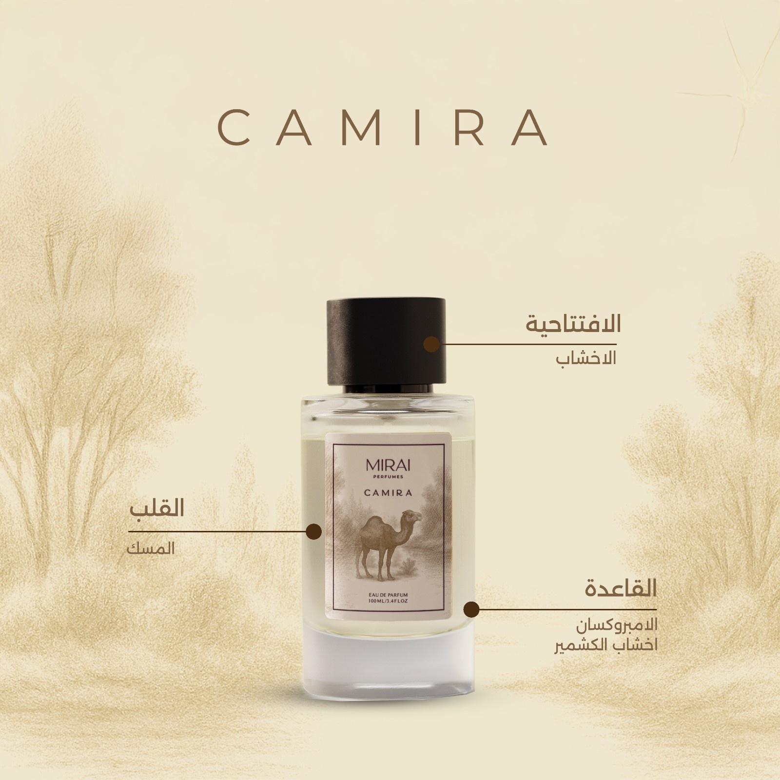 CAMIRA